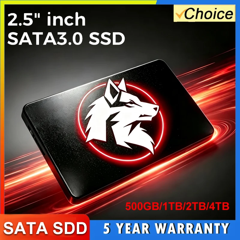 Ssd 500Gb - High Speed LANG SSD 2.5